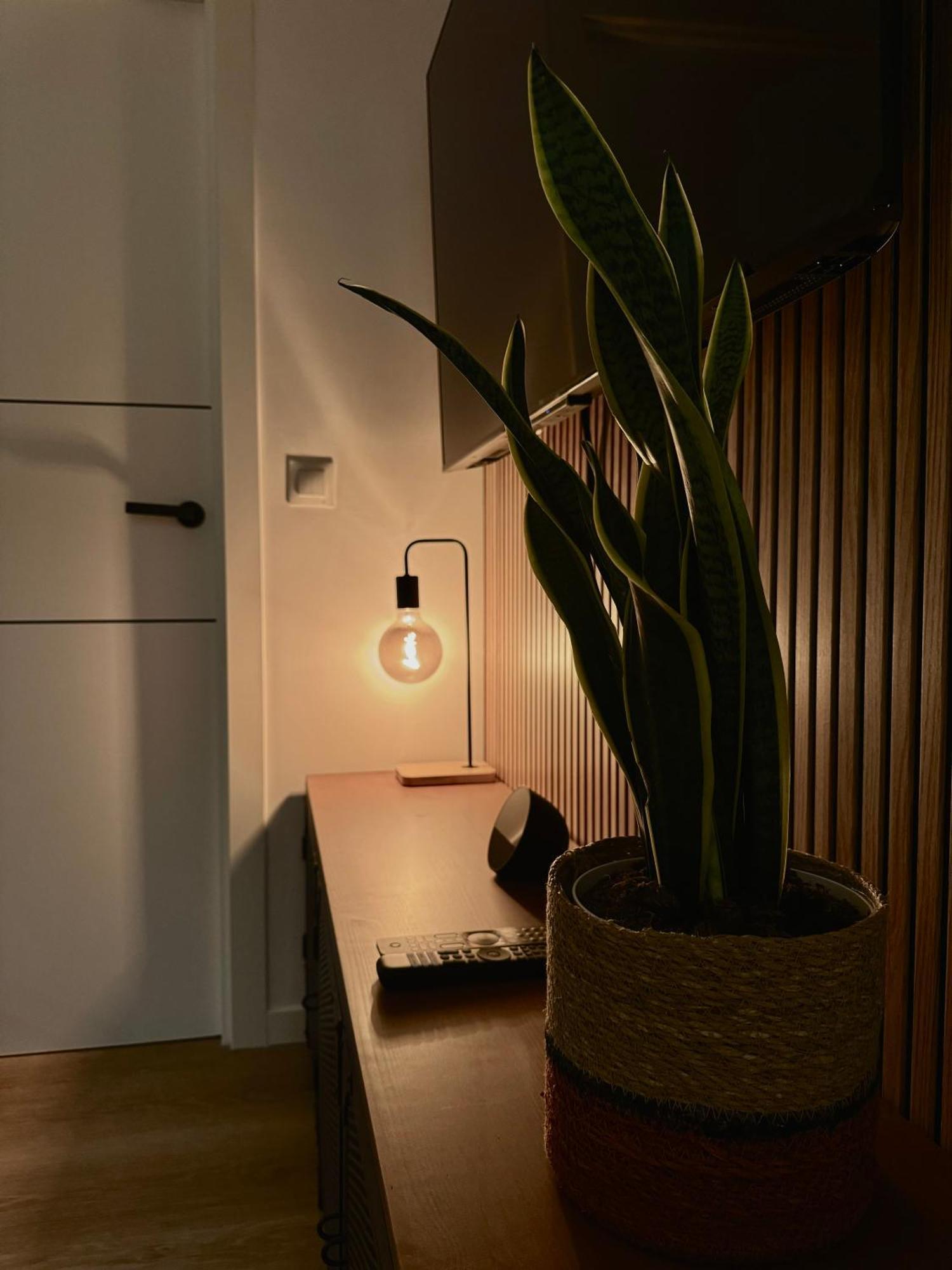 Kilometro 22 Luxury Apartman Padrón Kültér fotó